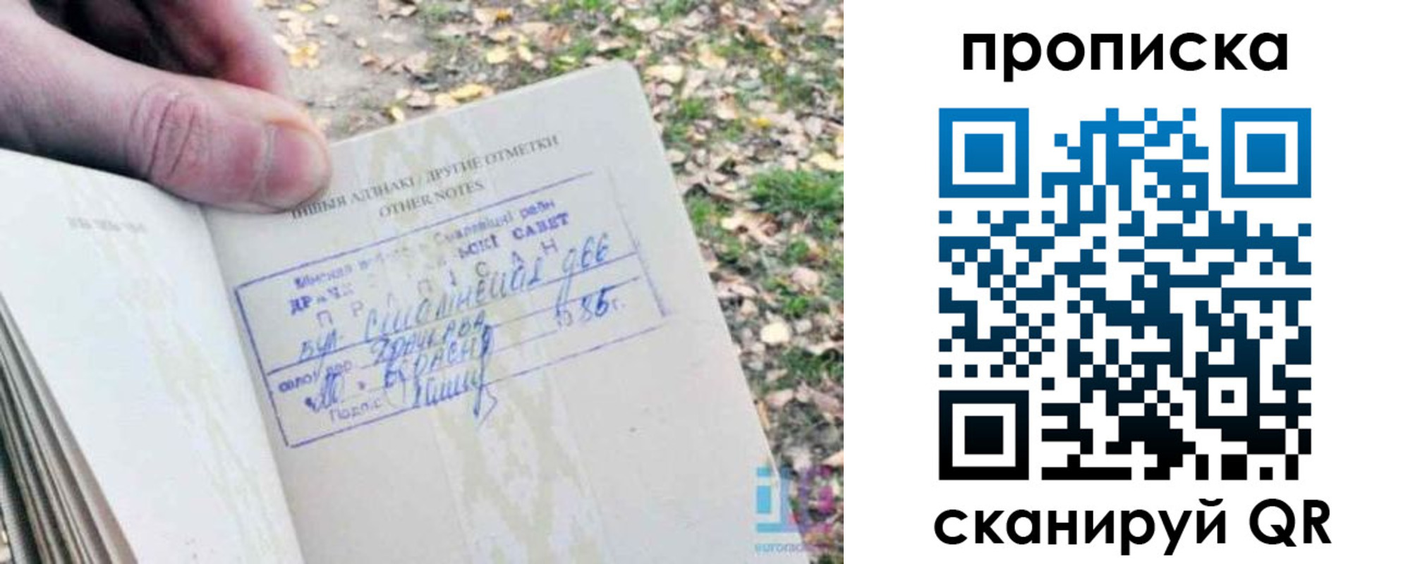 прописка в квартире в Курганинске